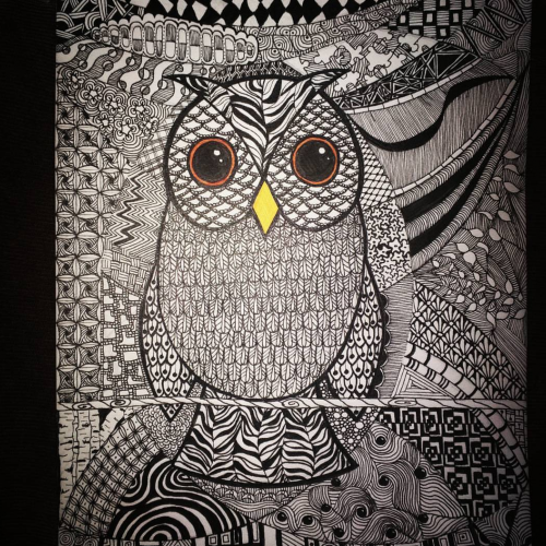 Zen owl