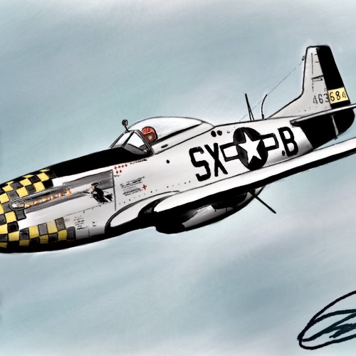 P-51 Colored