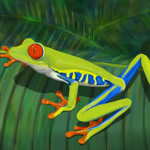 Red Eyed Tree Frog