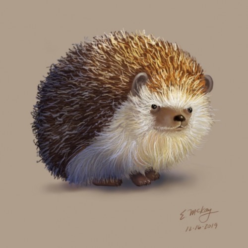 Hedgehog