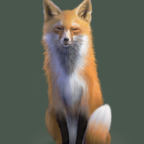 Little Fox