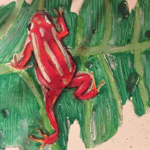 Poison Dart Frog on a Leaf