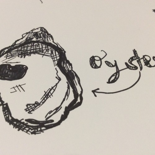 Oyster 2