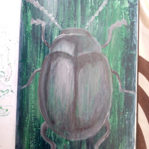 Beetle