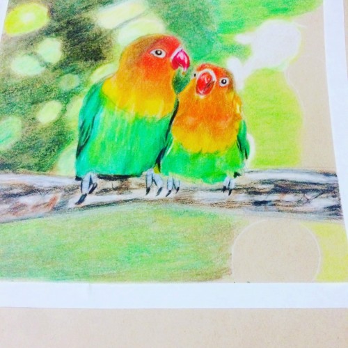 lovebirds in progress