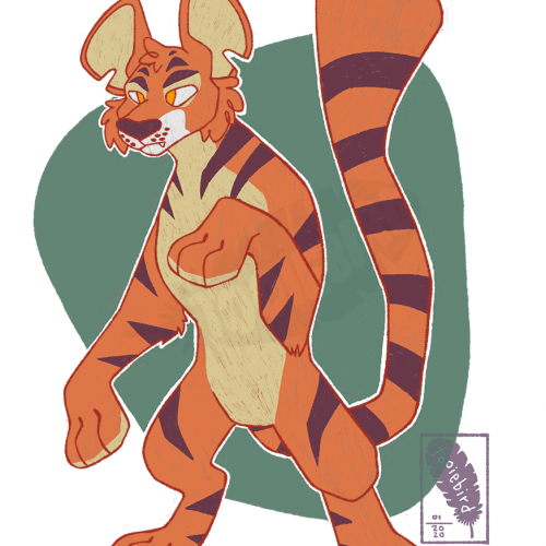 Orange Kougra