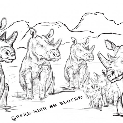 Rhinos