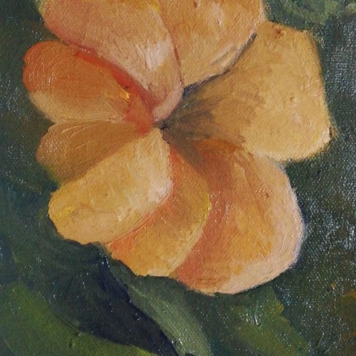 Oil Flower