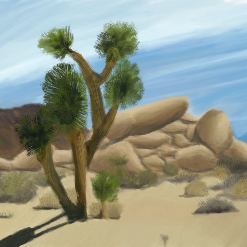 SoCal Desert