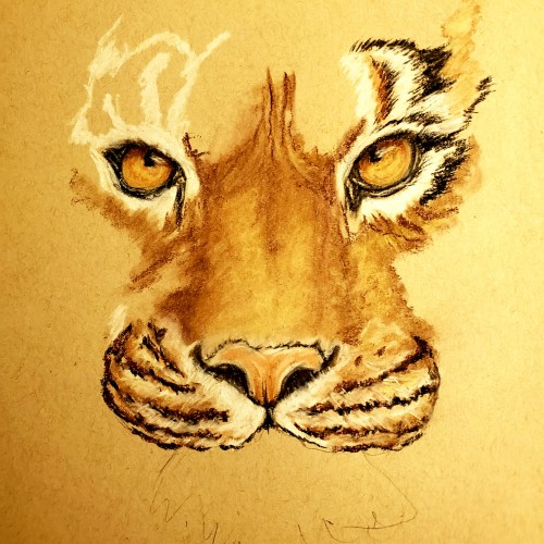 WIP tiger in pastel