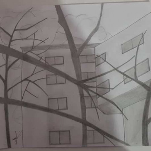 Buildings & Branches- Pencil Drawing