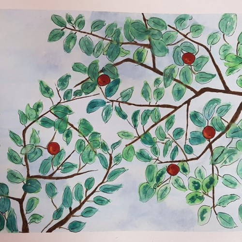 Apple tree