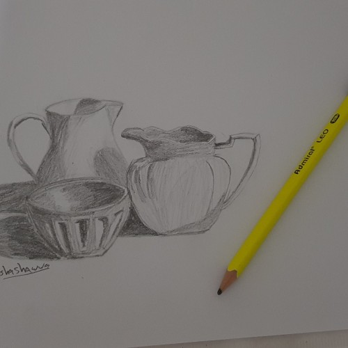 Still life- pencil drawing