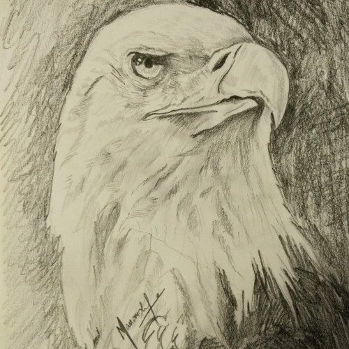 Eagle