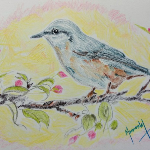 Blue bird and pink flowers...