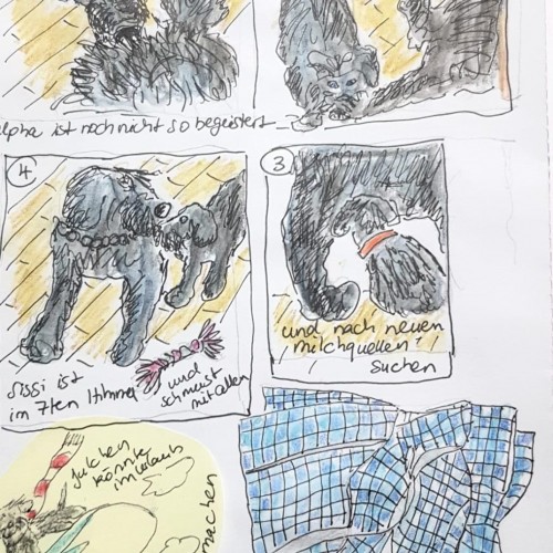 Giant Schnauzer Puppy Stories - Fineliner and watersoluble pencil