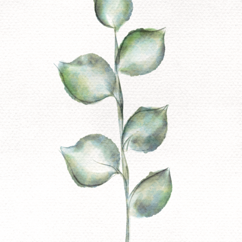 Watercolor Leafs