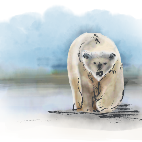 Doodlewash - 02 Polar Bear