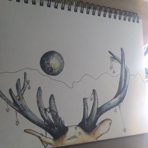 Elk & spiders