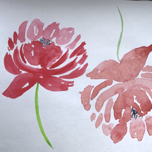 Some peonies practice