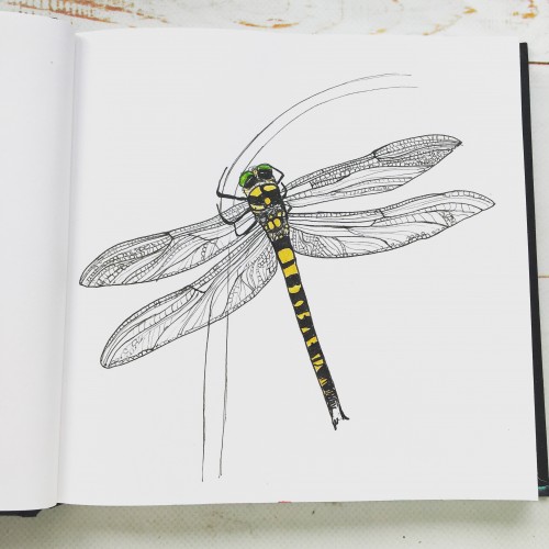 Dragonfly