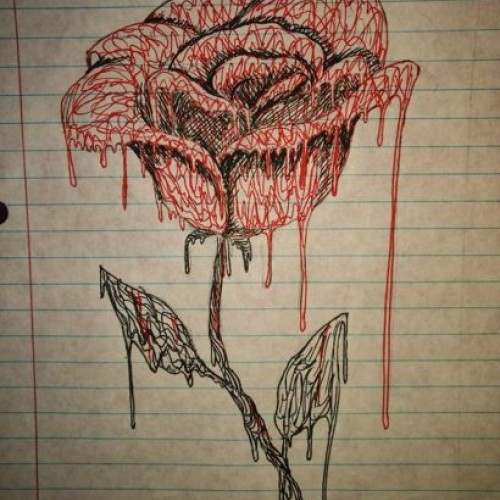 melting rose