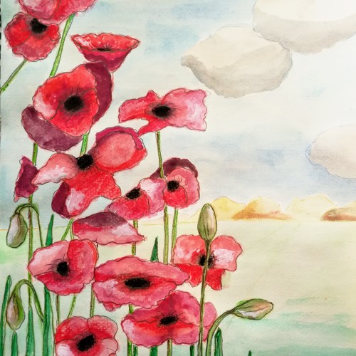 Poppies