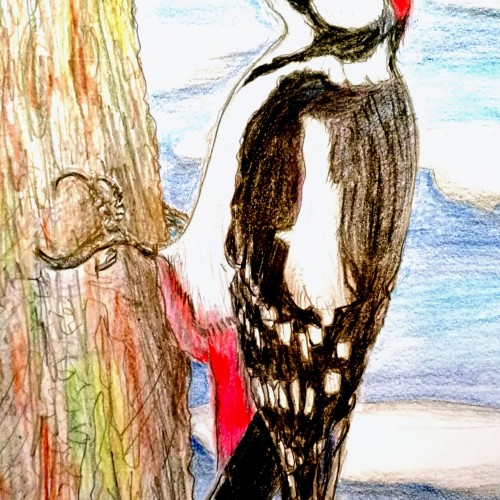 Woodpecker