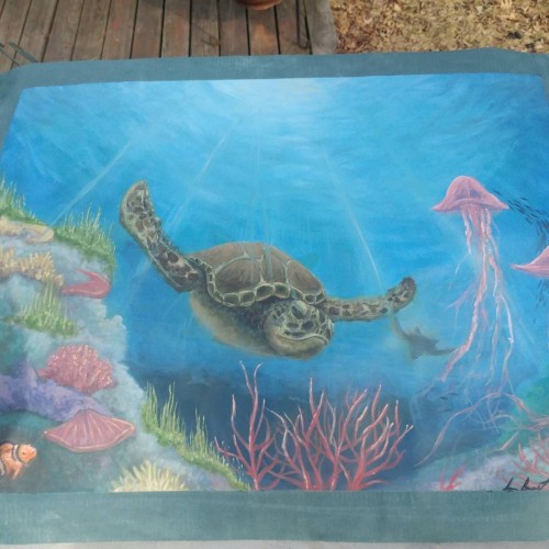 Sea Turtle Commission