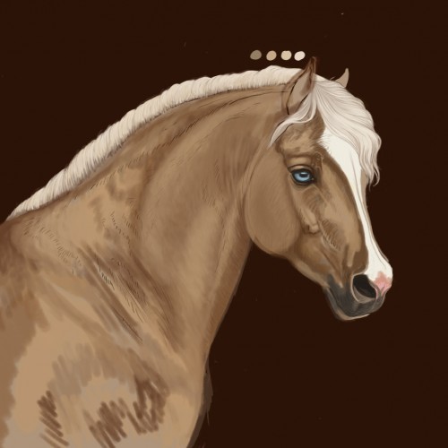 Pony Art