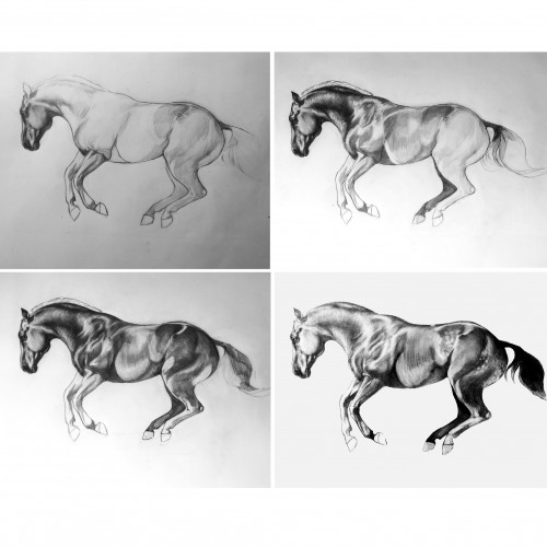 Horse drawing process