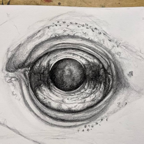 Eye of Newt - 2