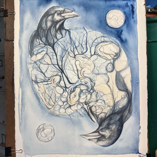 Crow tree reflection...process