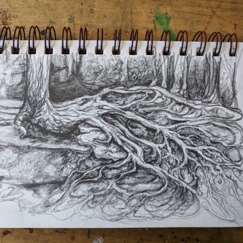 Roots. ...quick sketch