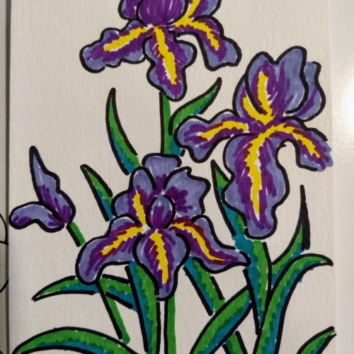 Irises