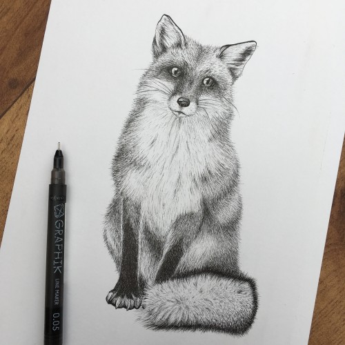 Fox