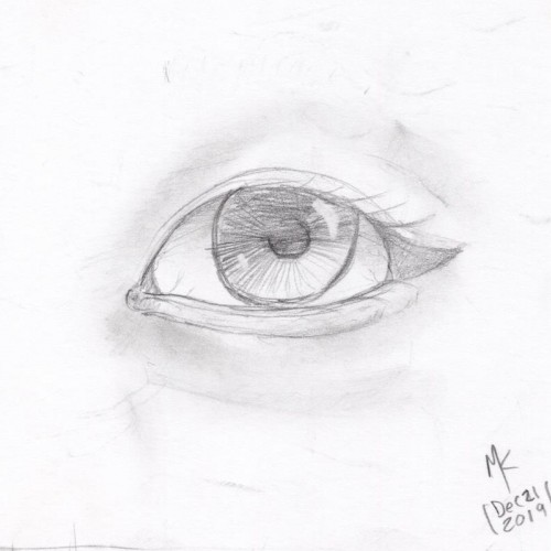 Eye