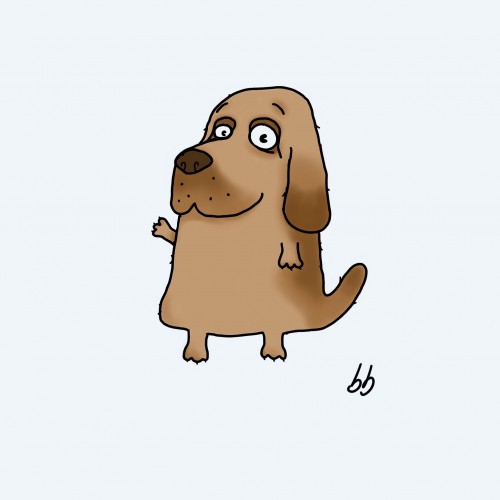 A brown dog