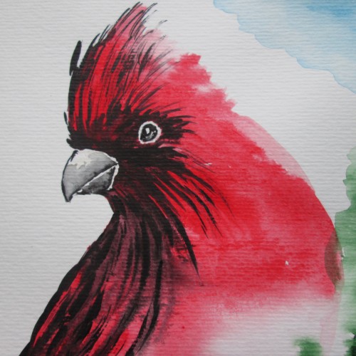 Red Cardinal