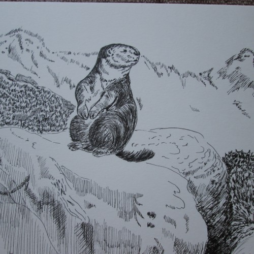 Marmot