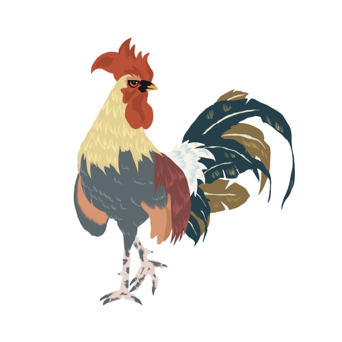 Proud Rooster