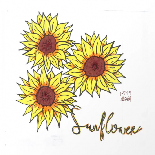 Sunflower