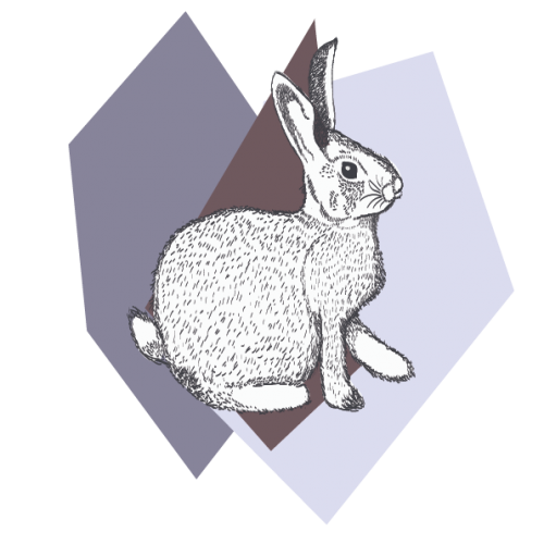 Bernard the Rabbit