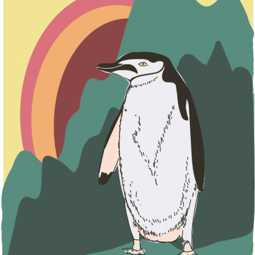 Summers penguin