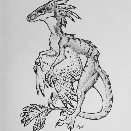 Feathered Raptor Doodle