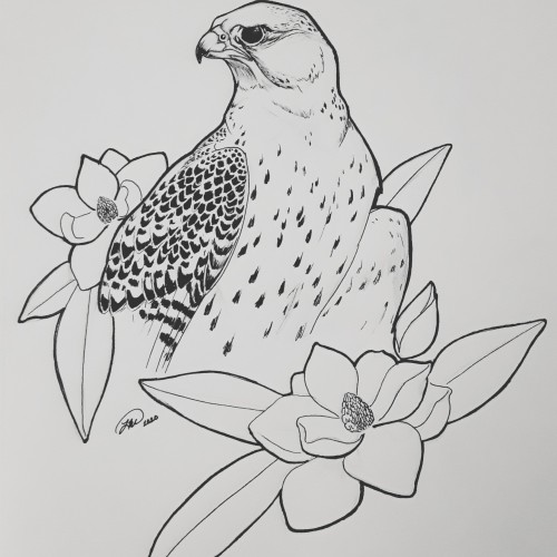 Gyr and Magnolias