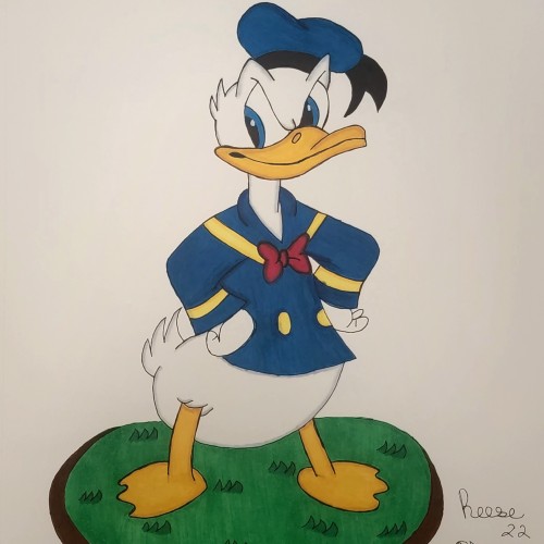 Donald Duck