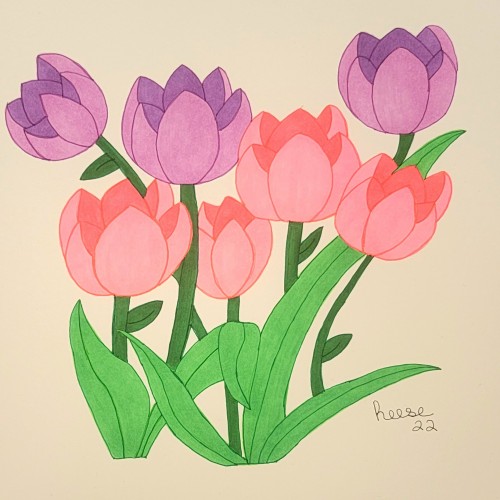 Pastel Tulips