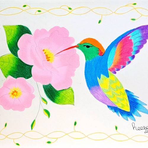 Colorful Hummingbird Revised
