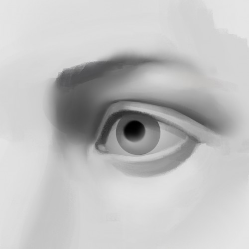 Eye of the tiger